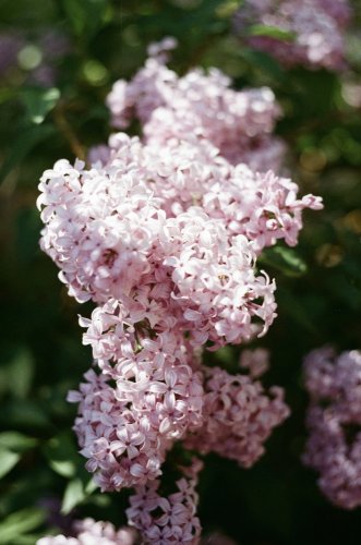 IMG_2870.JPG