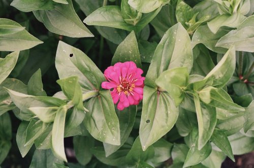 IMG_5420.jpeg