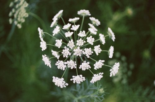 IMG_5452.jpeg