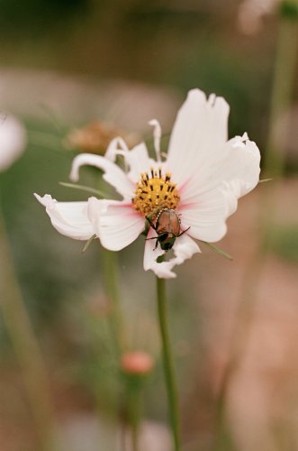IMG_7365.jpeg