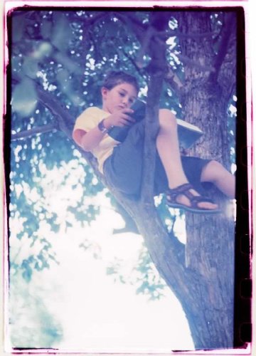 Yitz-in-tree.jpg