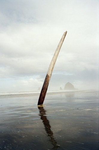 image (1).jpg